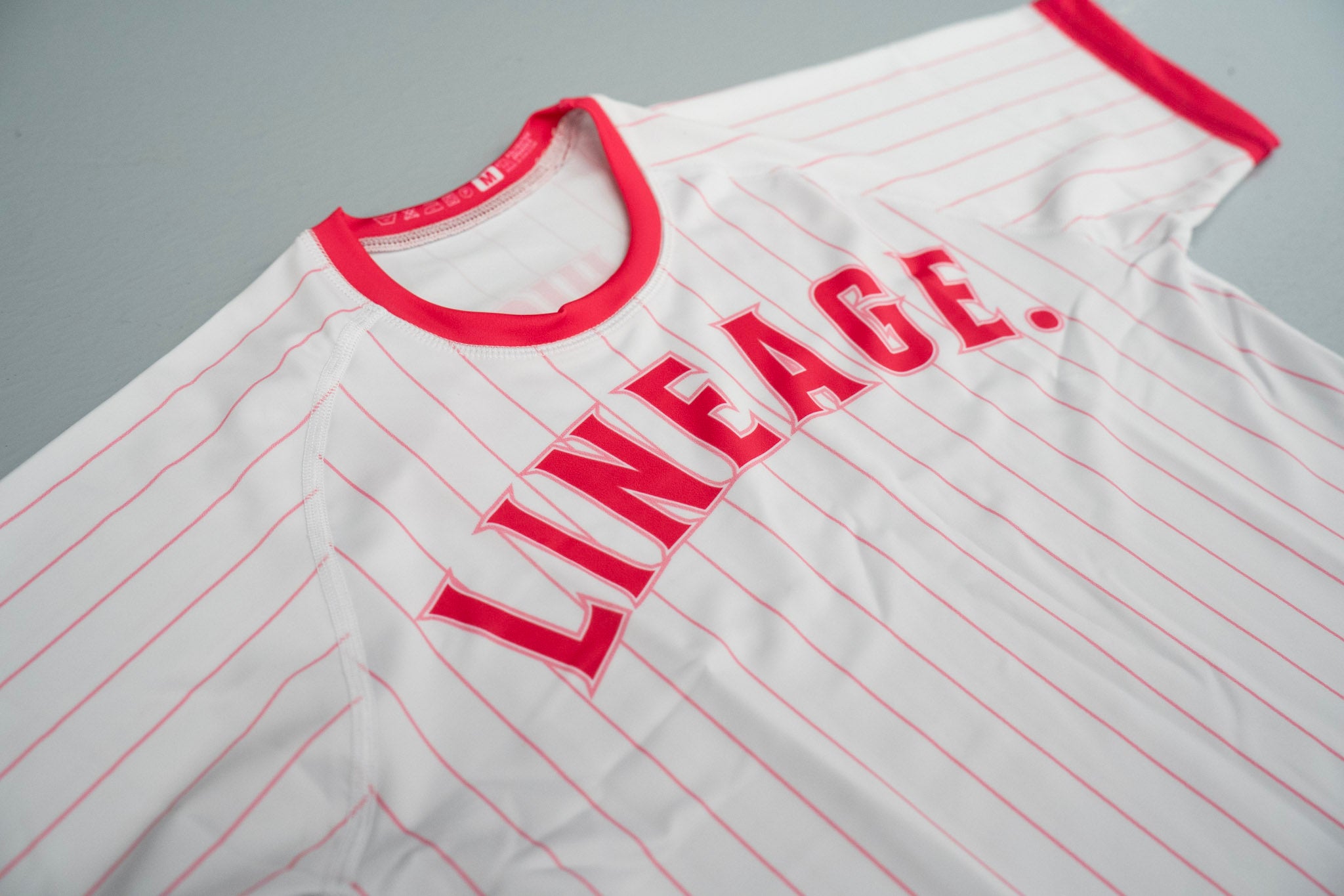 Women’s Rash Guard - Pink Pinstripe