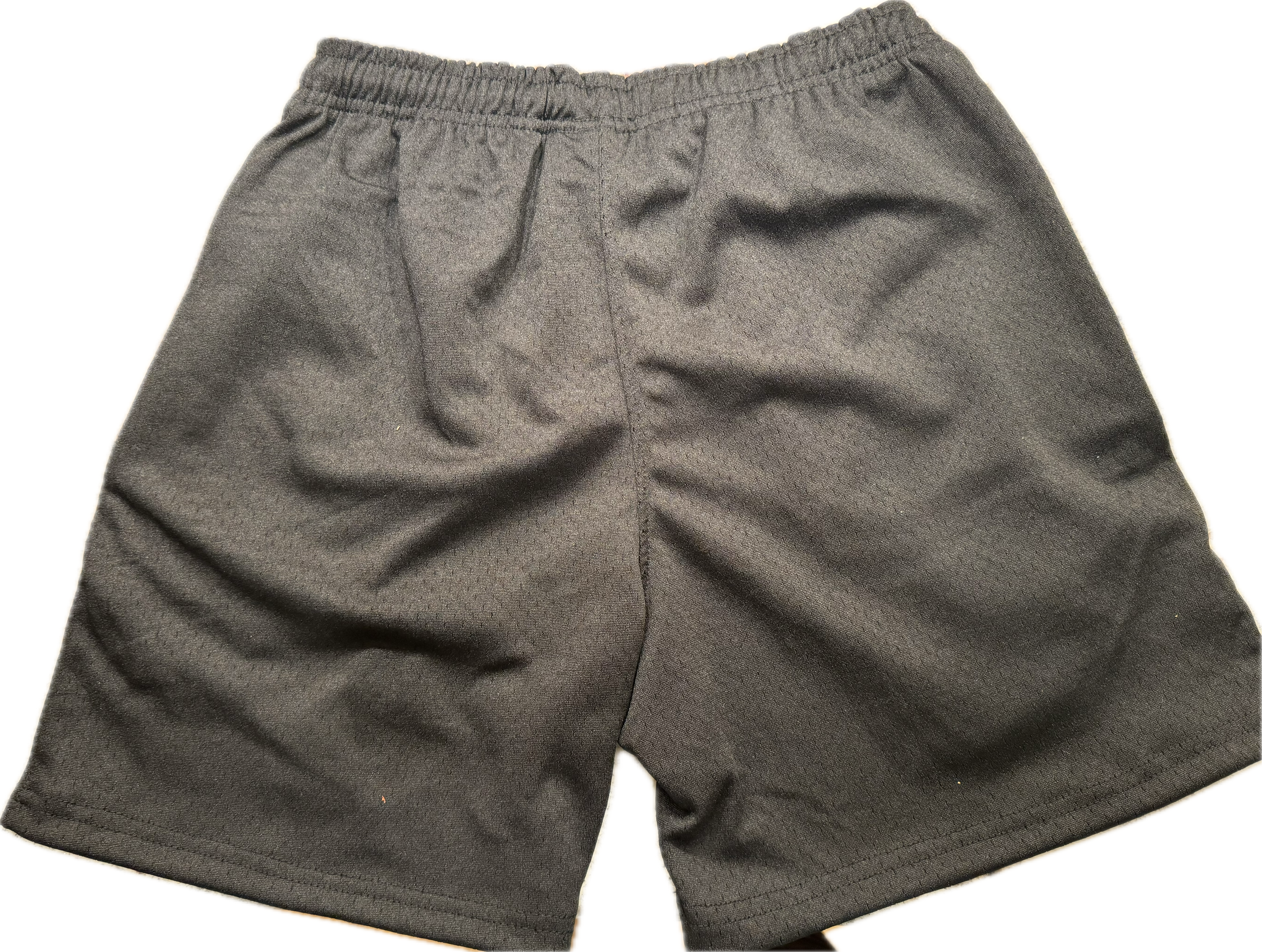 LINEAGE. Mesh Shorts